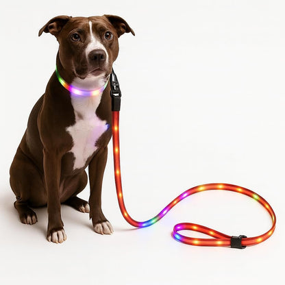 TheCritterPalace™ Luminous LED USB Charging Pet Leash