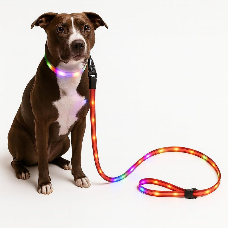 TheCritterPalace™ Lysande LED USB-laddningsbar hundkoppel