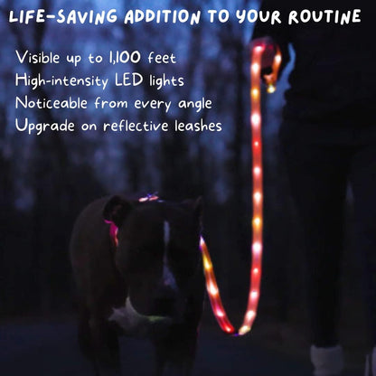 TheCritterPalace™ Luminous LED USB Charging Pet Leash