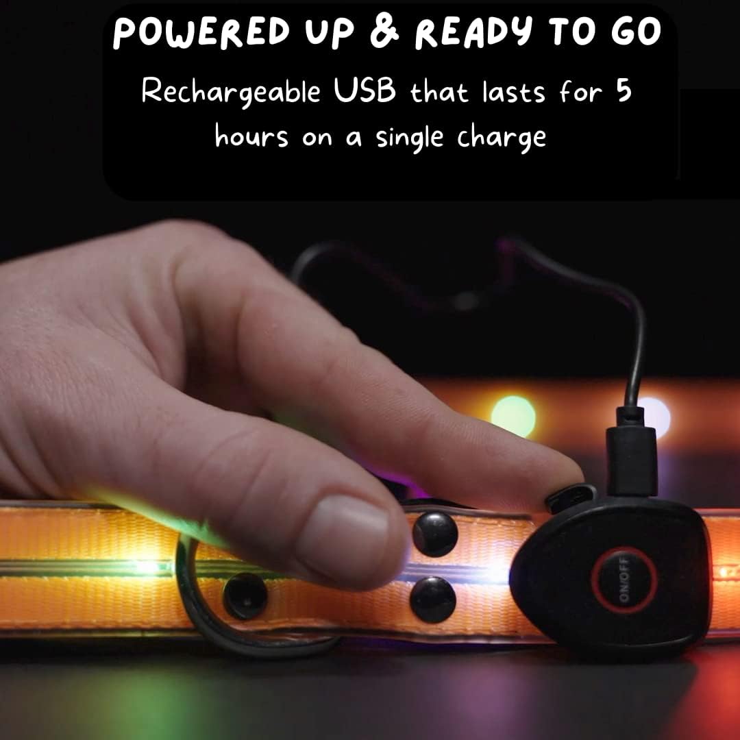 TheCritterPalace™ Luminous LED USB Charging Pet Leash