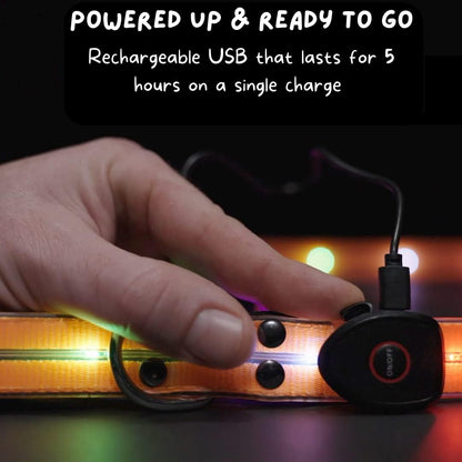 TheCritterPalace™ Luminous LED USB Charging Pet Leash