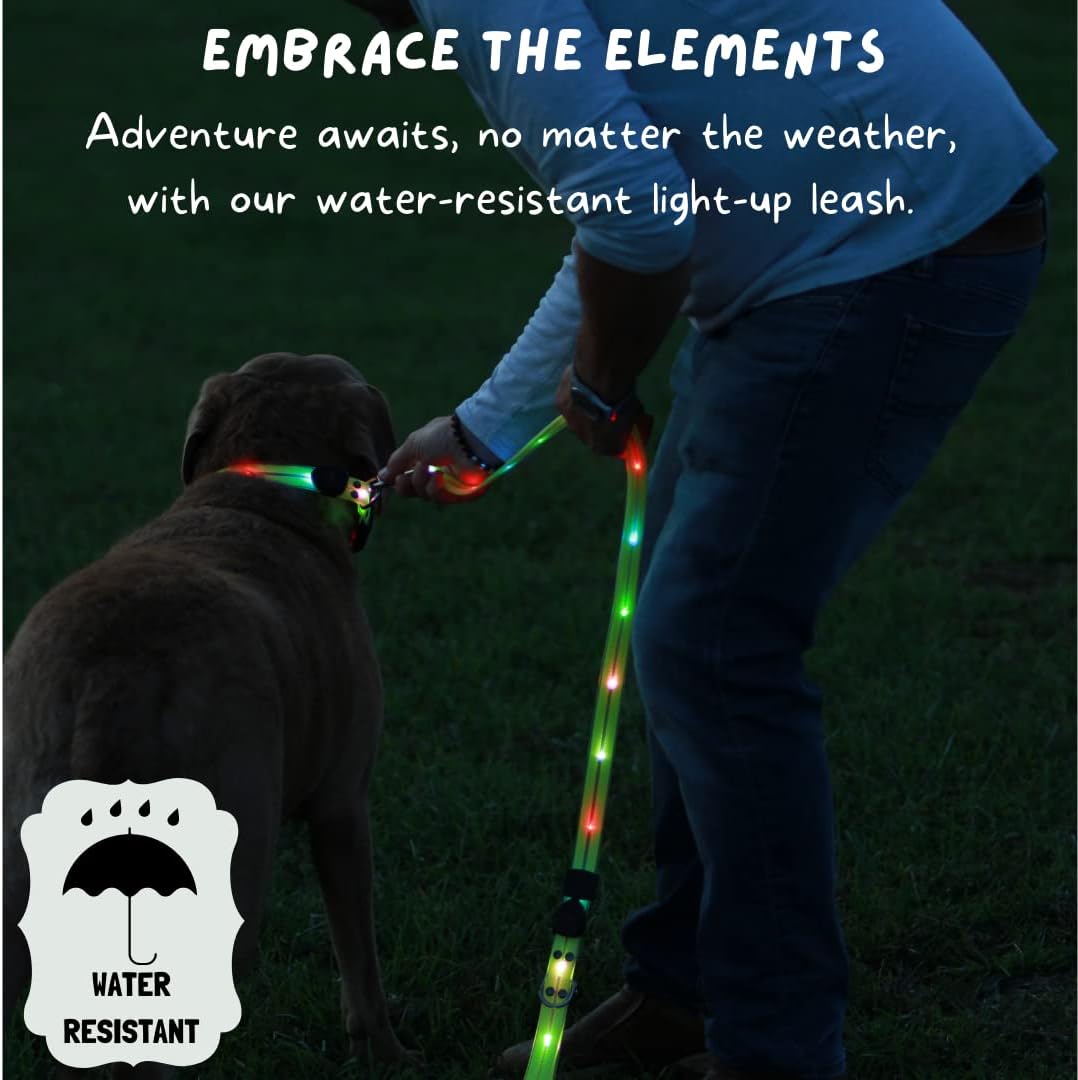 TheCritterPalace™ Luminous LED USB Charging Pet Leash