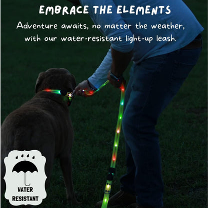 TheCritterPalace™ Luminous LED USB Charging Pet Leash