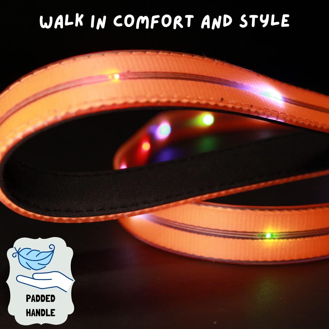 TheCritterPalace™ Luminous LED USB Charging Pet Leash