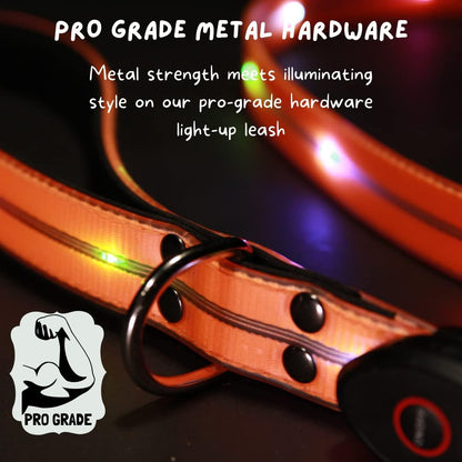 TheCritterPalace™ Luminous LED USB Charging Pet Leash