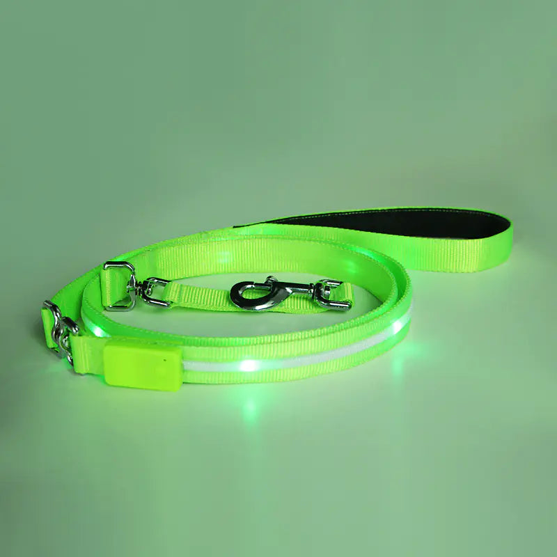 TheCritterPalace™ Luminous LED USB Charging Pet Leash