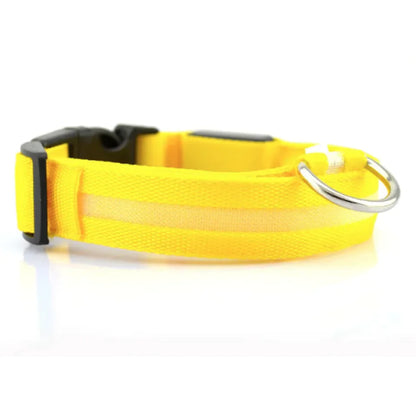 LED Dog Safety Collar – USB Rechargeable Light-Up Night Visibility Collar