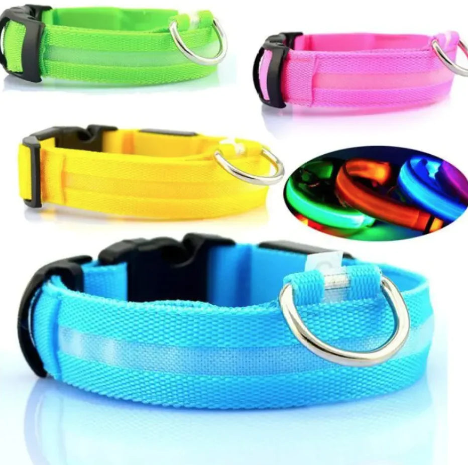 LED Dog Safety Collar – USB Rechargeable Light-Up Night Visibility Collar