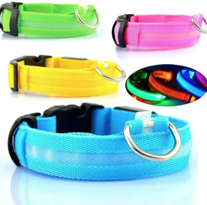 LED Dog Safety Collar – USB Rechargeable Light-Up Night Visibility Collar