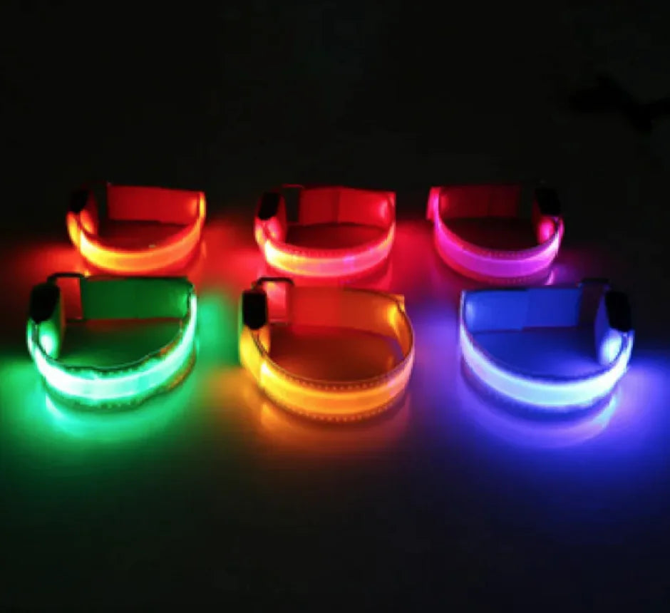 LED Dog Safety Collar – USB Rechargeable Light-Up Night Visibility Collar