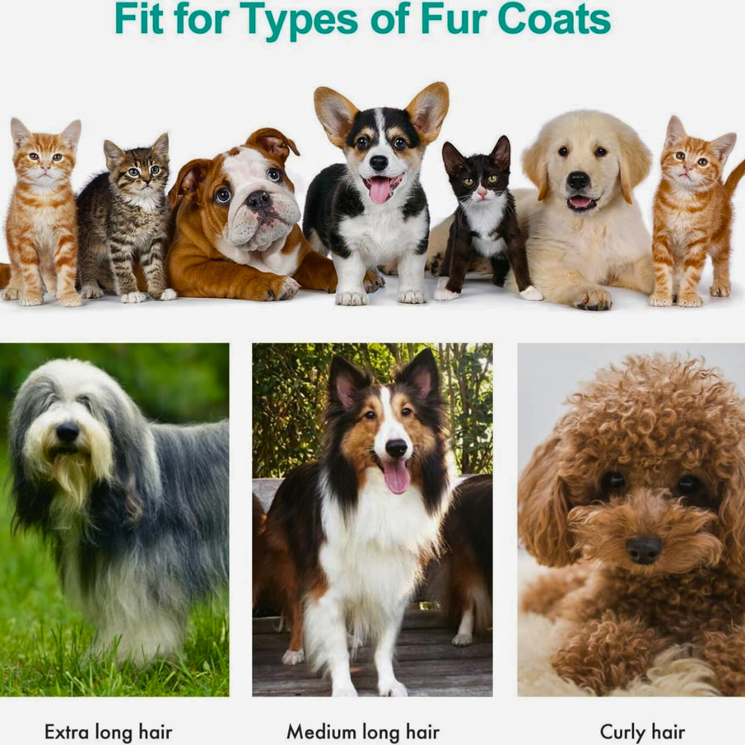 TheCritterPalace™ Pet Grooming Kit with Cleaning Stick